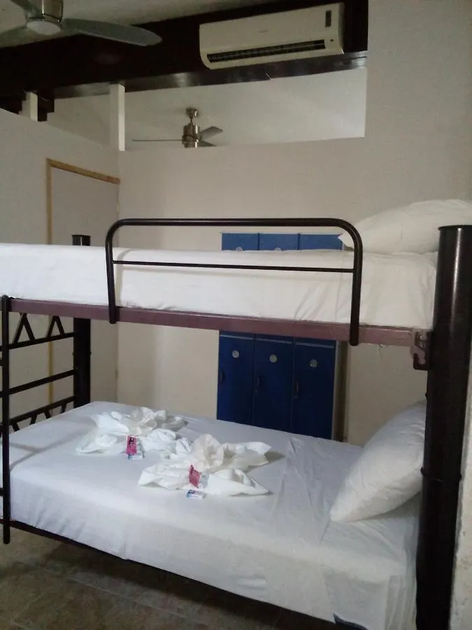 ホステル カンクン Ikaro Beds (Adults Only)ホステル メキシコ