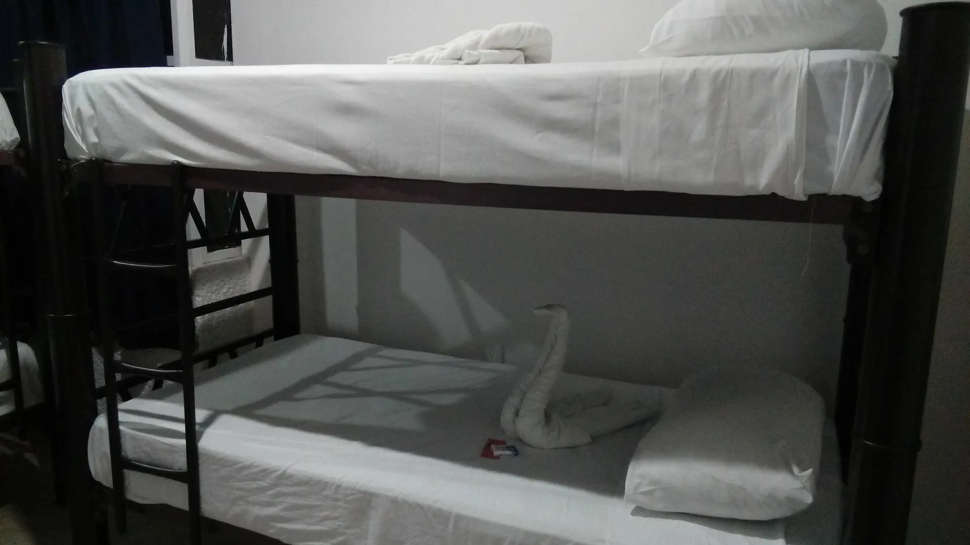 칸쿤 Ikaro Beds (Adults Only) 호스텔